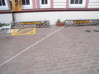 Medium_rimg0012 (2)